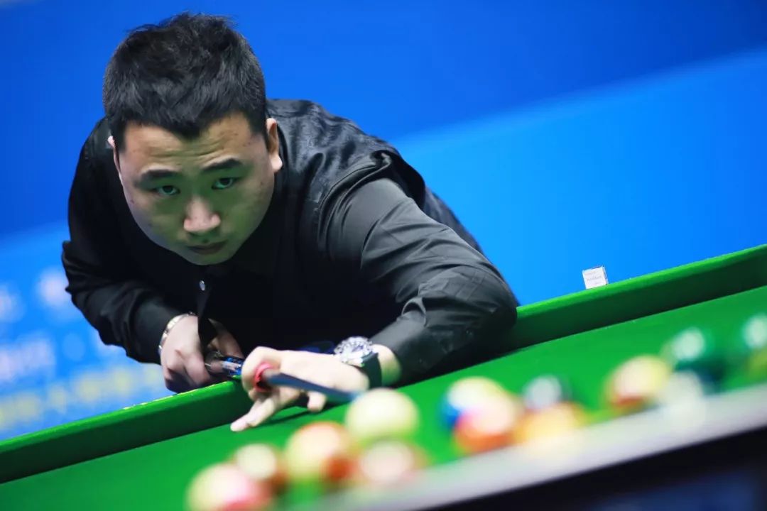 每年都汇聚 每年都汇聚