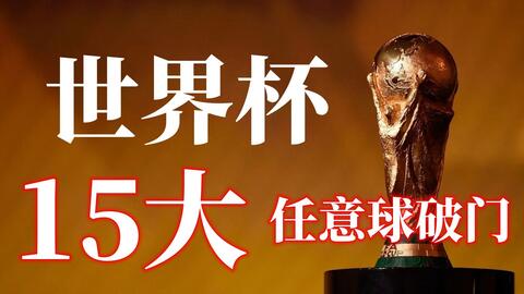 不仅是对自 不仅是对自