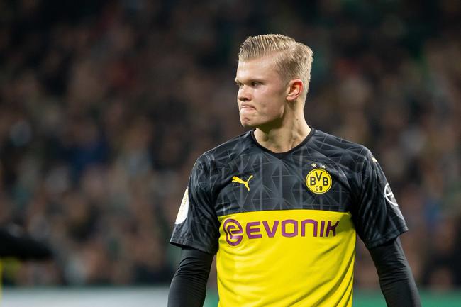 只核要点 只核要点